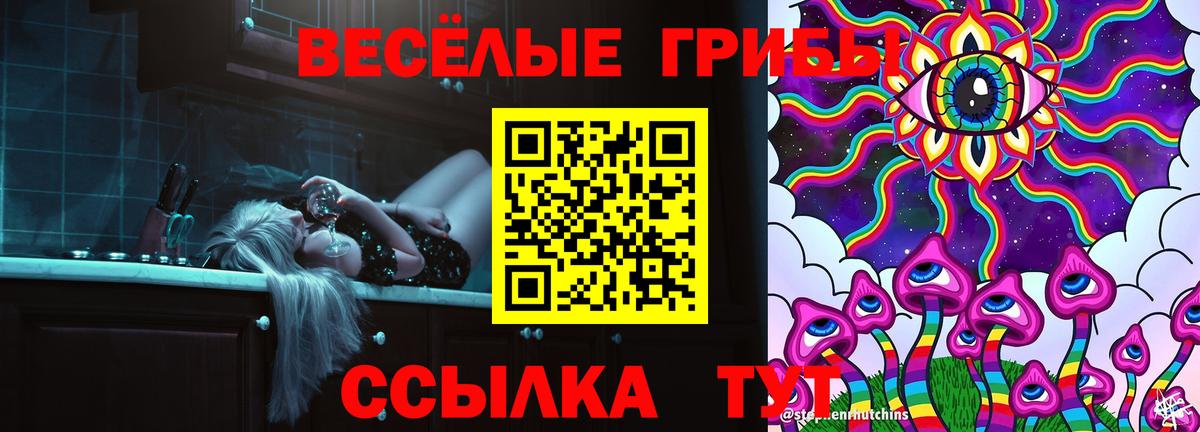 Псилоцибиновые грибы Psilocybe Ачхой-Мартан